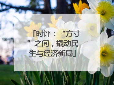 时评：“方寸”之间，撬动民生与经济新局